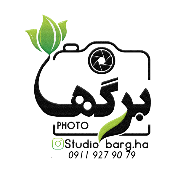 Bargha new logo