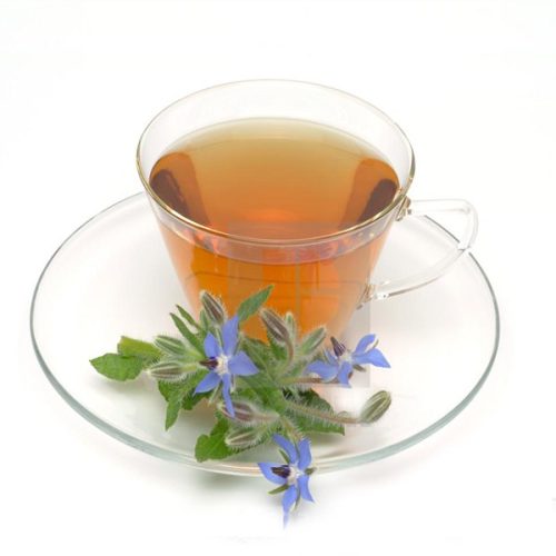 گل گاو زبان1